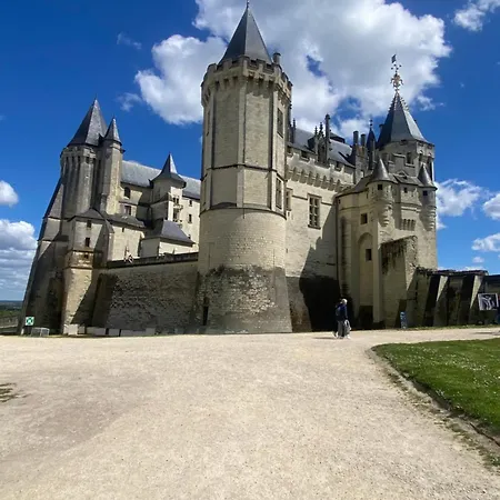 Vakantiehuis La Boulaie - Lovely With Private Pool Parcay-les-Pins